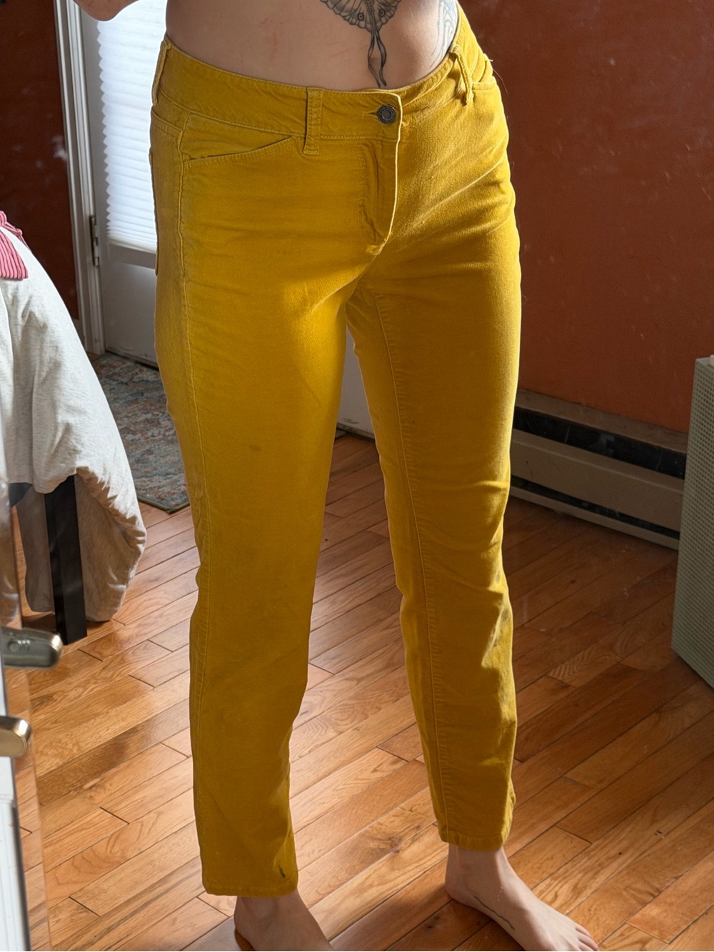 Talbots Mustard Yellow / Gold Brushed Velcet Cropped Slim Pants
